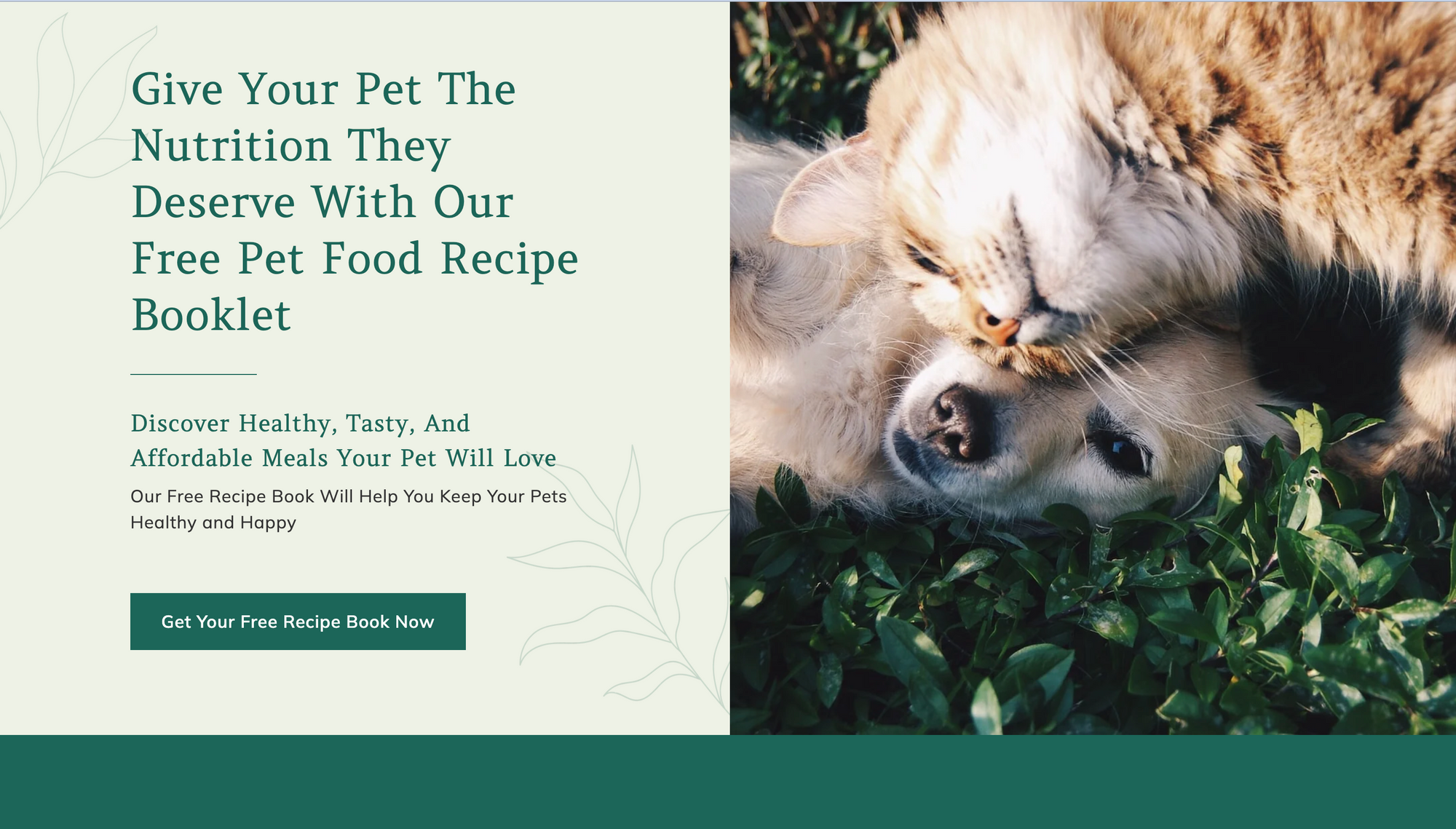 image of a landing page about pet food recipes
